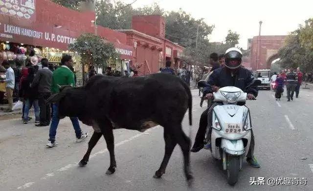 印度有石油吗,印度真的有神吗