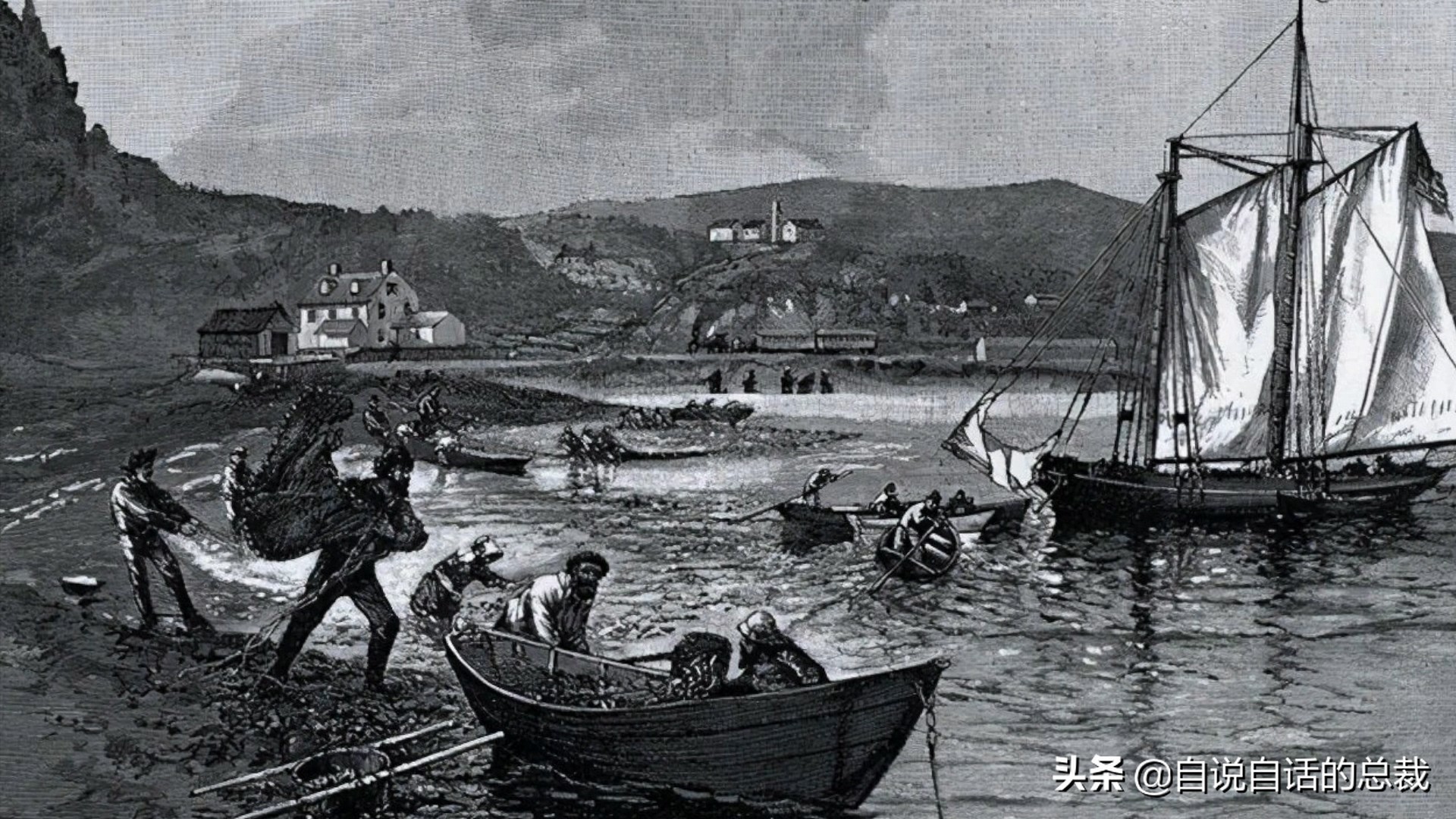 海鲜蛤蜊与蛤蜊区分,蛏子与小人蚬的区别