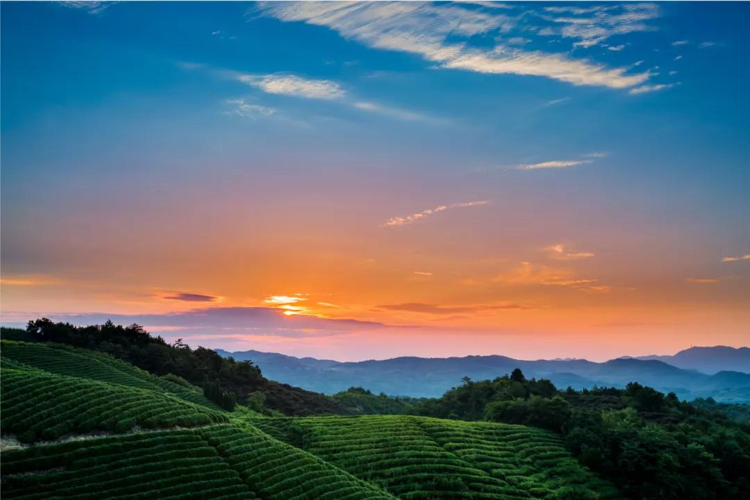 如何诗意的度过初冬？我在雅安这些私藏美宿里找到了答案