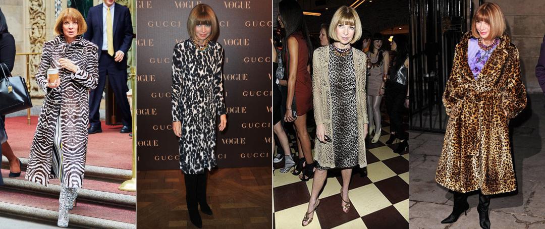 dior璞圭汗鐨崏,dior璞圭汗濂抽瀷