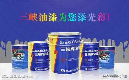 重庆市三峡油漆上市公司,重庆三峡油漆公司排名
