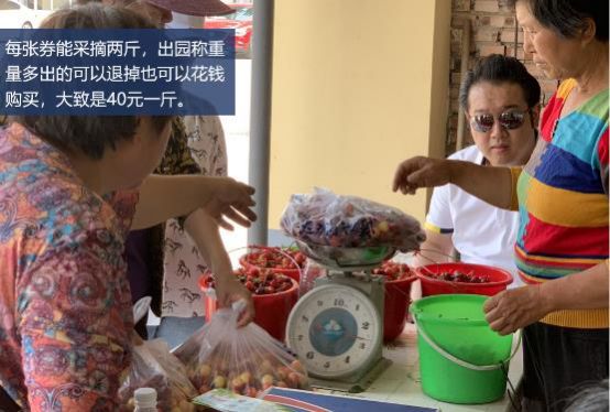 哈弗f7x的樱桃烧烤季,对的时间做对的事英语短句