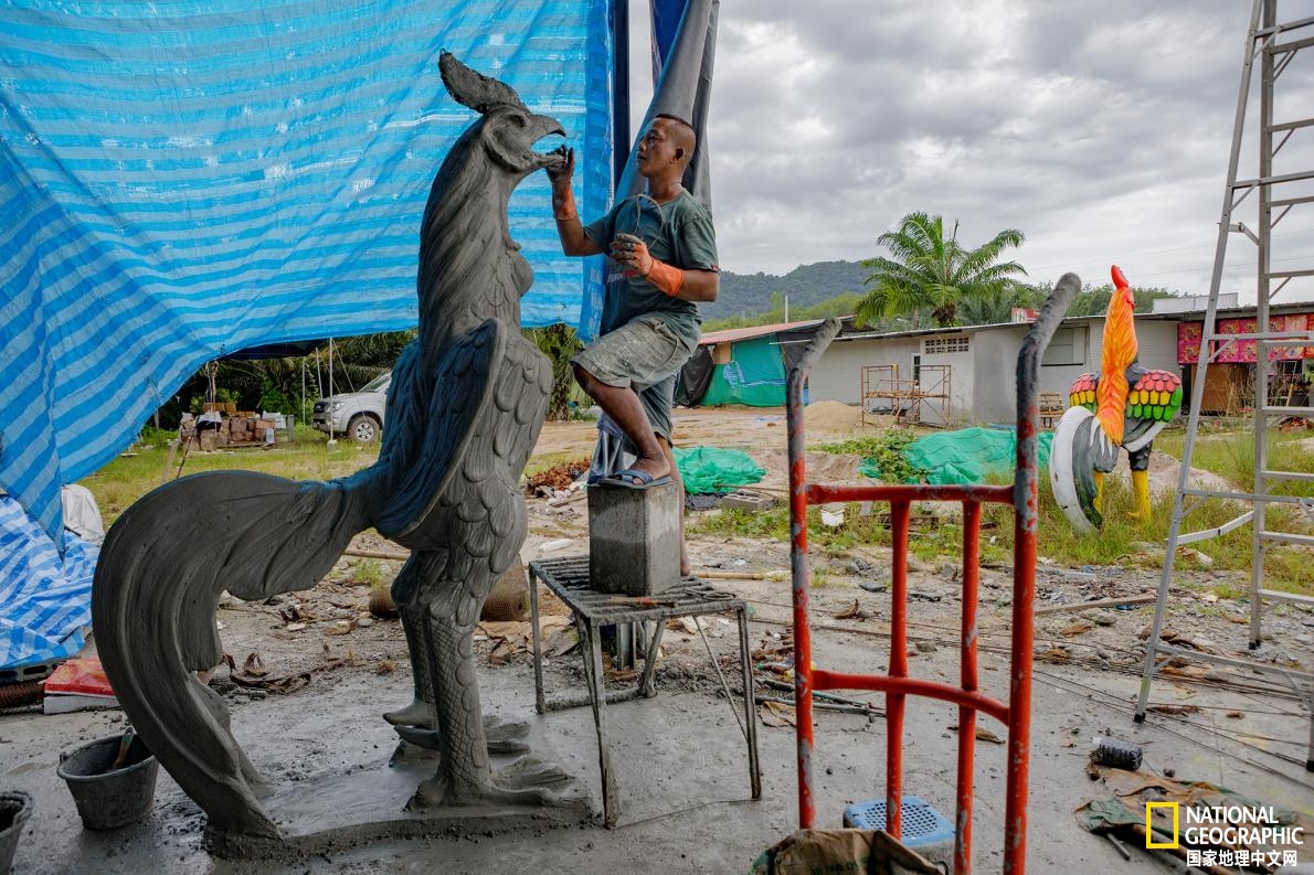 泰国蛋童旅游热潮,泰国蛋童引发旅游热潮