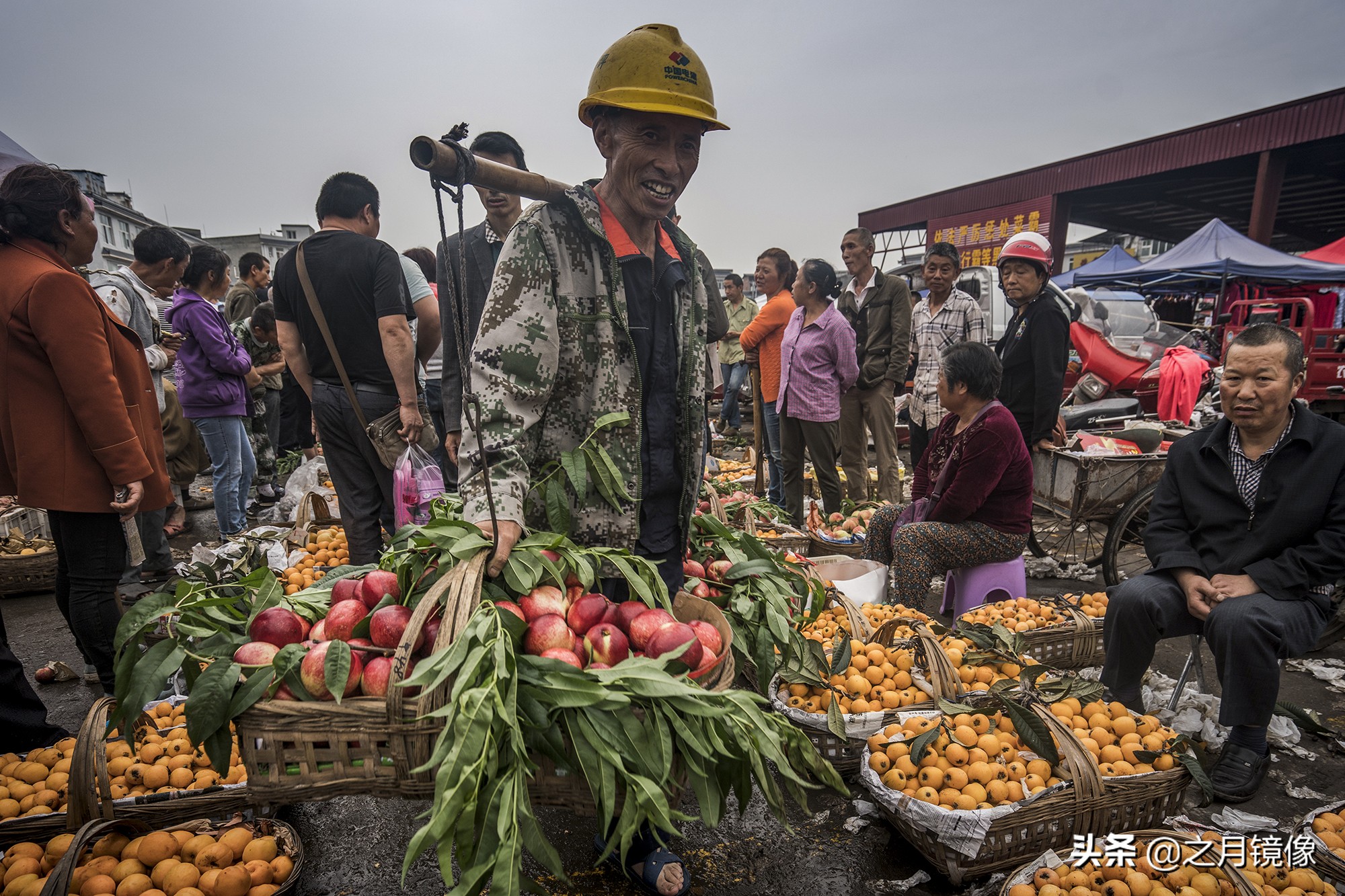 天府新区太平枇杷,成都太平枇杷批发市场