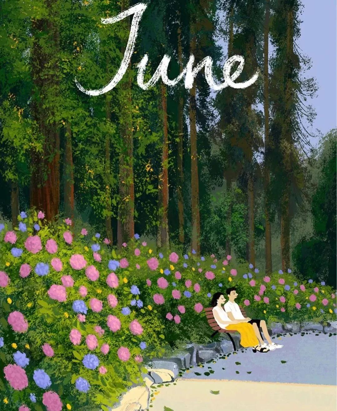 青岛粉黛花海拍照,青岛好看的拍照地怎么拍