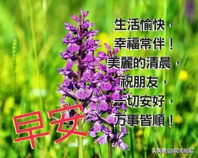 微信早晨最新的早安问候祝福短句,早晨好问候暖心短句祝福图片