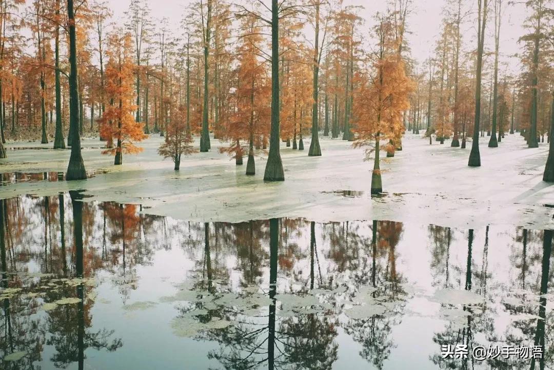 未来5年武汉哪个区最好,武汉你最想住哪个区