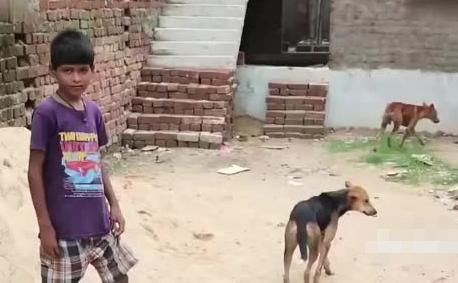 10岁孩子喝奶上瘾,为什么小孩喝牛奶上瘾