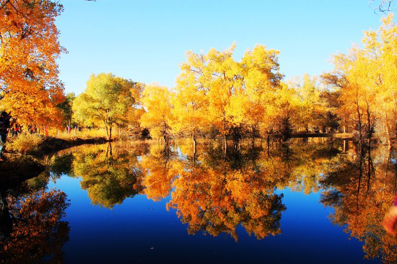 淄博到内陆自驾游,大连到山东内陆自驾游