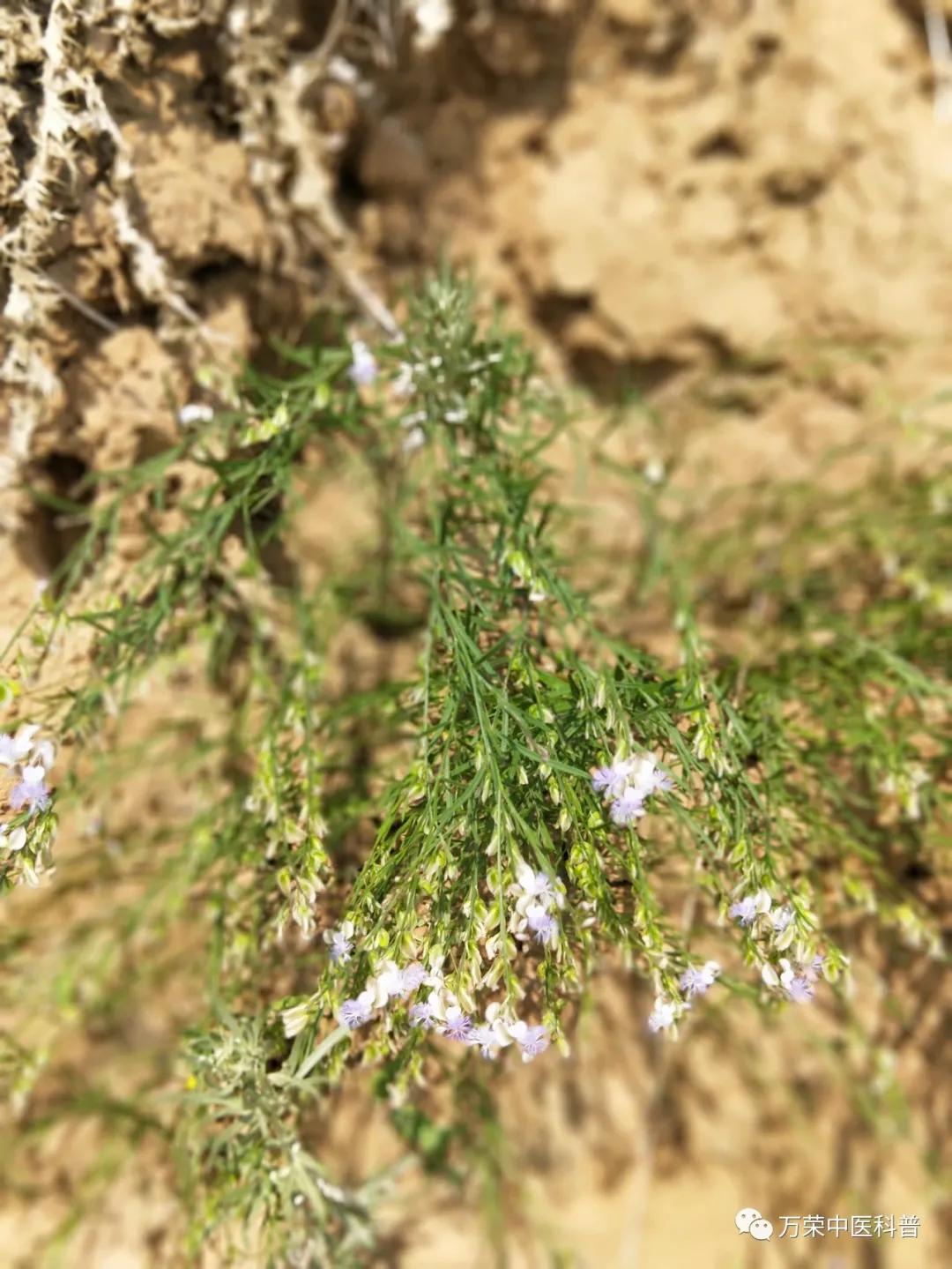 跟我回家在线免费看,跟我回家免费看