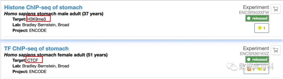 高通量测序技术怎么使用,高通量测序数据分析费用