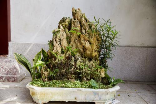 小假山制作教学视频,小假山制作过程的小视频