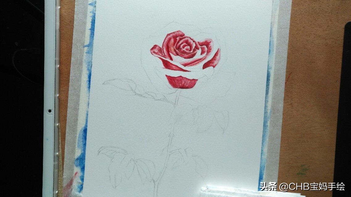 水彩画初学者零基础教程玫瑰花,水彩画教程入门玫瑰花慢教程