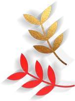 以芳华立誓不负教育强国梦,以芳华立誓背景音乐