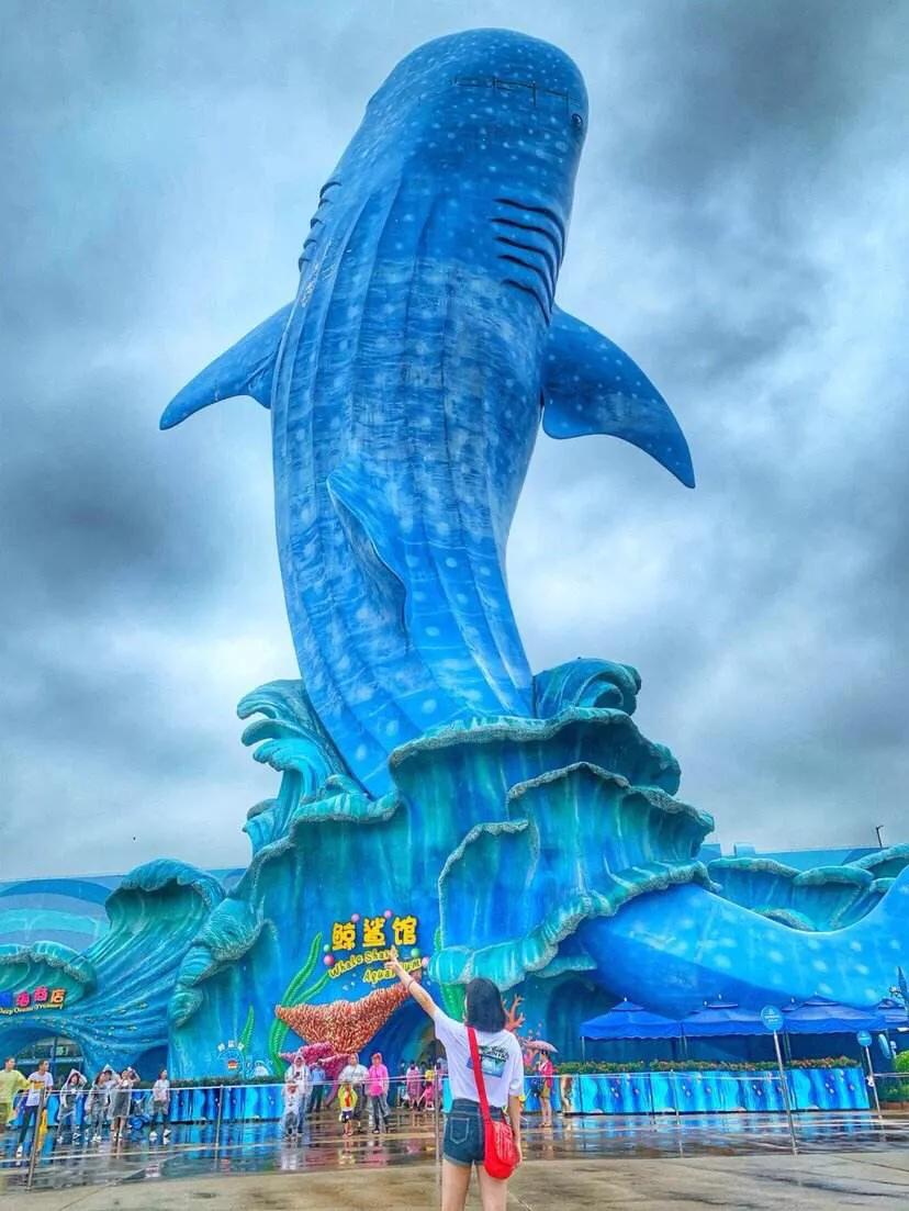 珠海长隆海洋王国美的像童话世界,珠海长隆海洋王国体验游玩