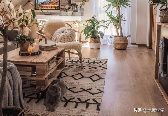 设计师爱不释手的格纹元素,设计师钟爱地板