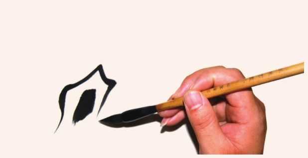 国画教程零基础入门树的画法,国画花卉线稿教程大全