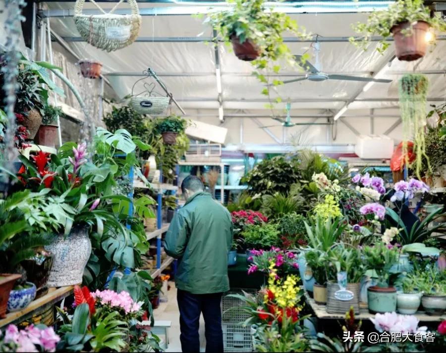 <html>
<head><title>502BadGateway</title></head>
<body>
<center><h1>502BadGateway</h1></center>
<hr><center>nginx</center>
</body>
</html>
<!--apaddingtodisableMSIEandChromefriendlyerrorpage-->
<!--apaddingtodisableMSIEandChromefriendlyerrorpage-->
<!--apaddingtodisableMSIEandChromefriendlyerrorpage-->
<!--apaddingtodisableMSIEandChromefriendlyerrorpage-->
<!--apaddingtodisableMSIEandChromefriendlyerrorpage-->
<!--apaddingtodisableMSIEandChromefriendlyerrorpage-->
