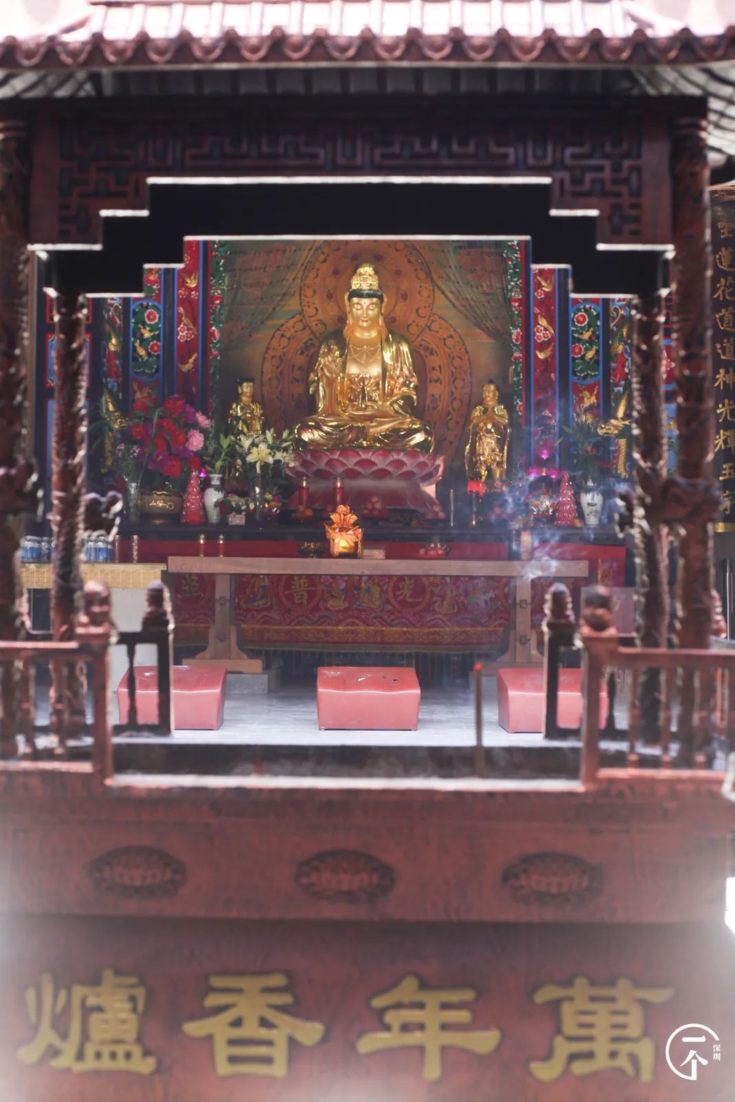 全深圳都要羡慕住在沙井的人,羡慕深圳有房的人