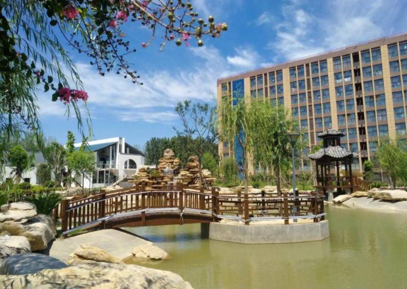 谈谈家乡生态环境,关于家乡生态的采访问题