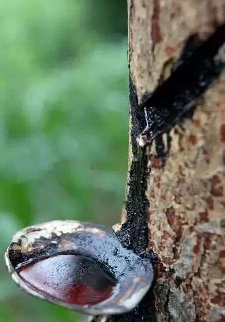 买家具到处是坑,买家具的人一般还会买什么