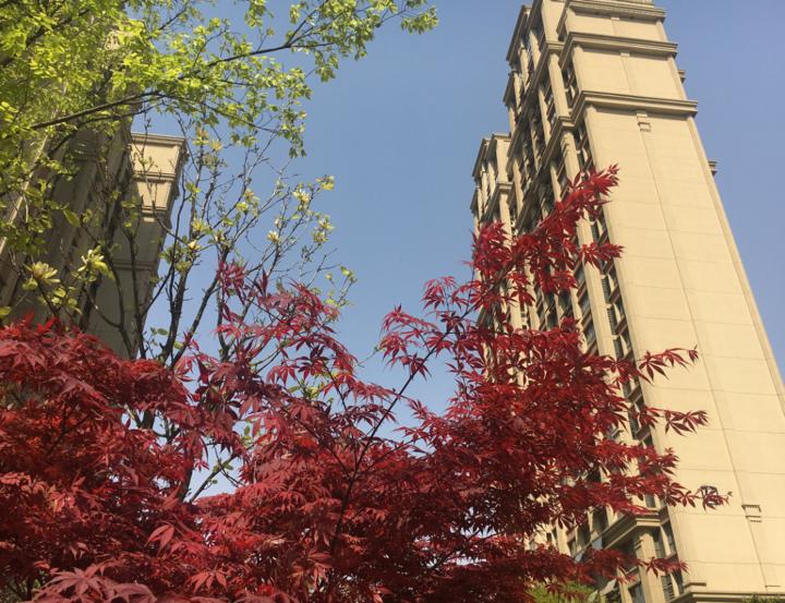 日照市裕升华庭二期最新房价,日照裕升华庭东沿街