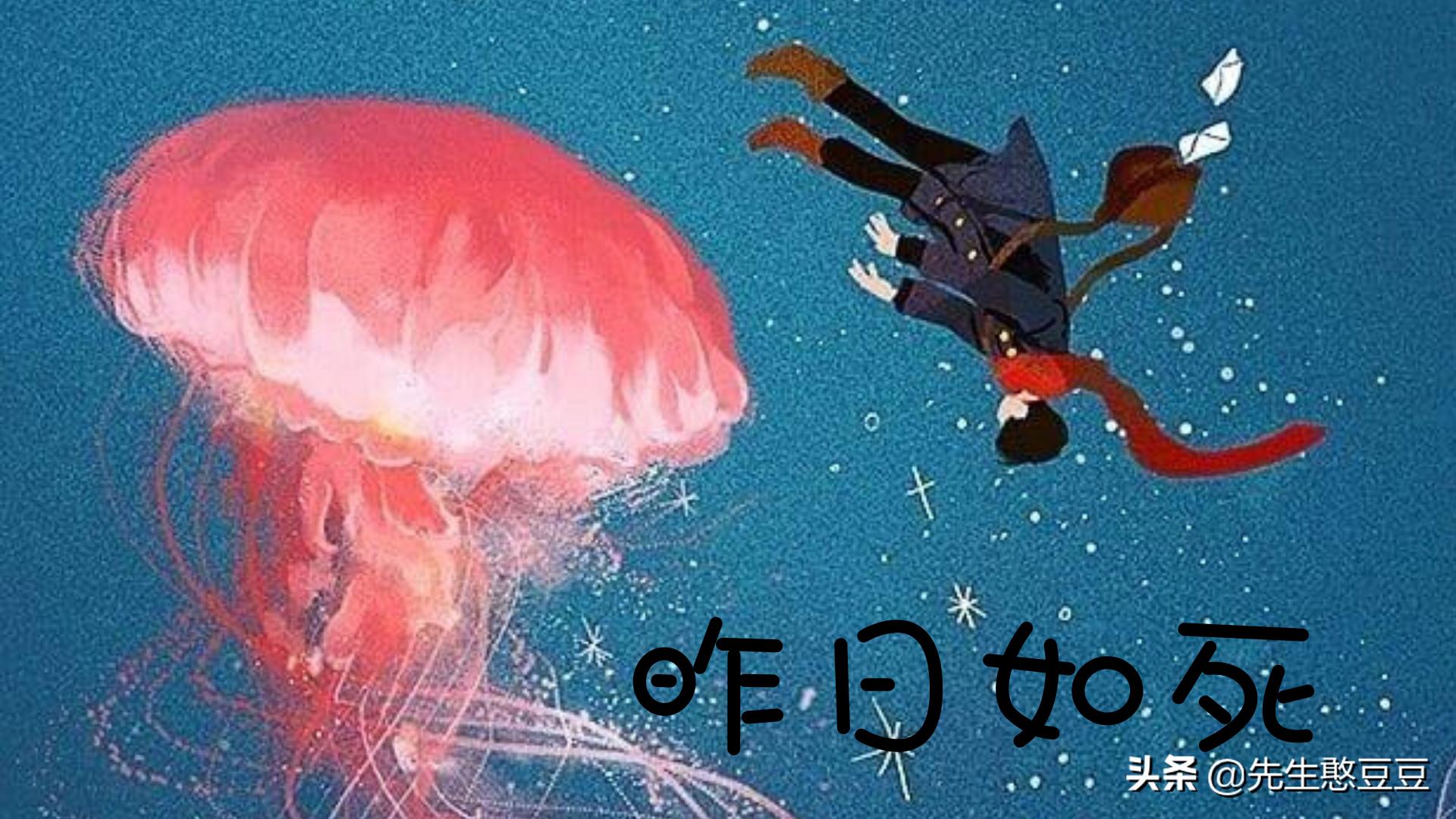 《这题超纲了》《看谁马甲先掉》《致命美学》《杀破狼》