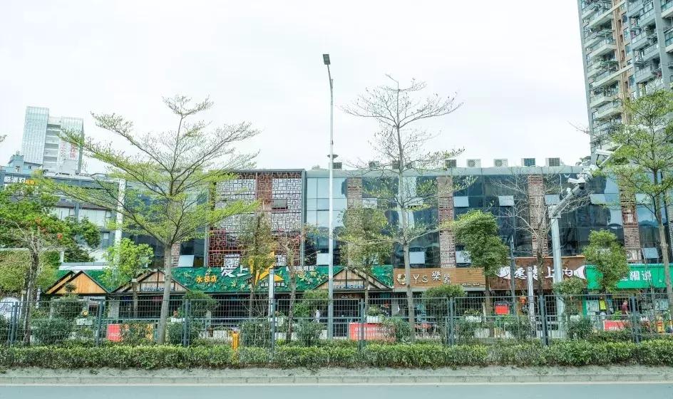 你没去过的水上乐园,你没去过