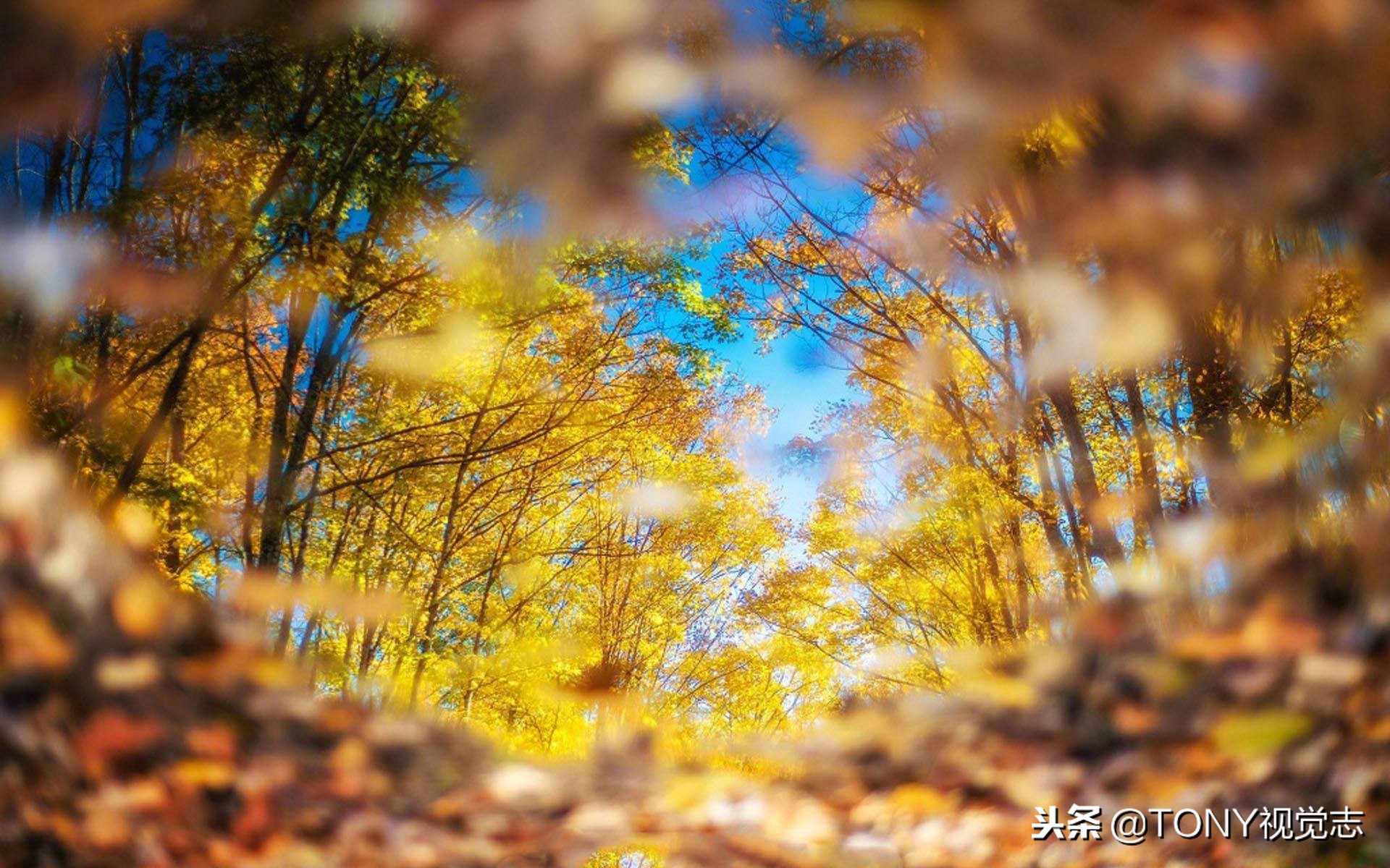 借相机不想借怎么拒绝,拒绝朋友借相机的技巧