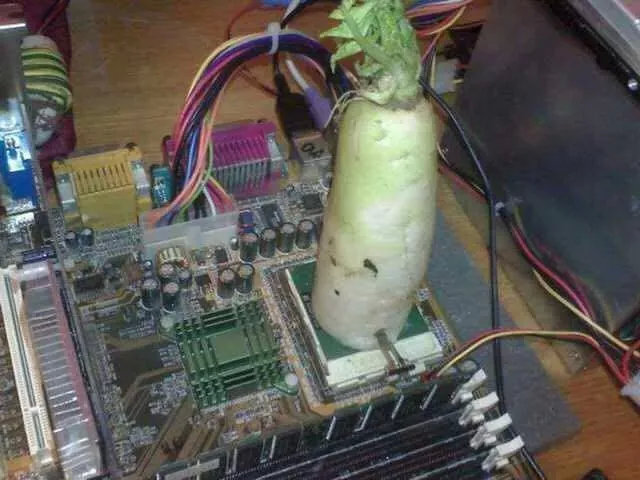 和这个贴吧比起来,虎扑男孩弱爆了