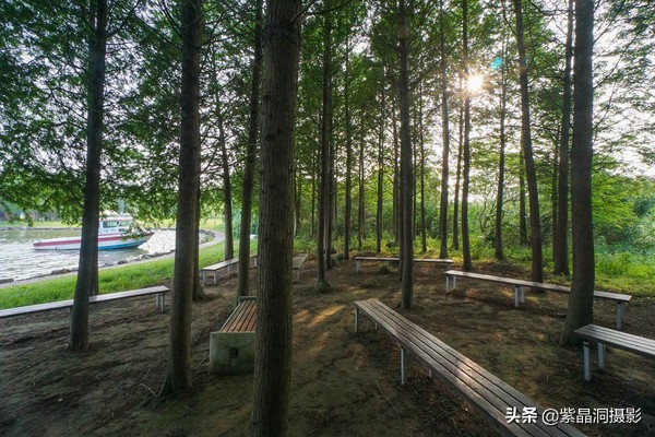 上海崇明小岛旅游,崇明周末自驾游明珠湖度假村