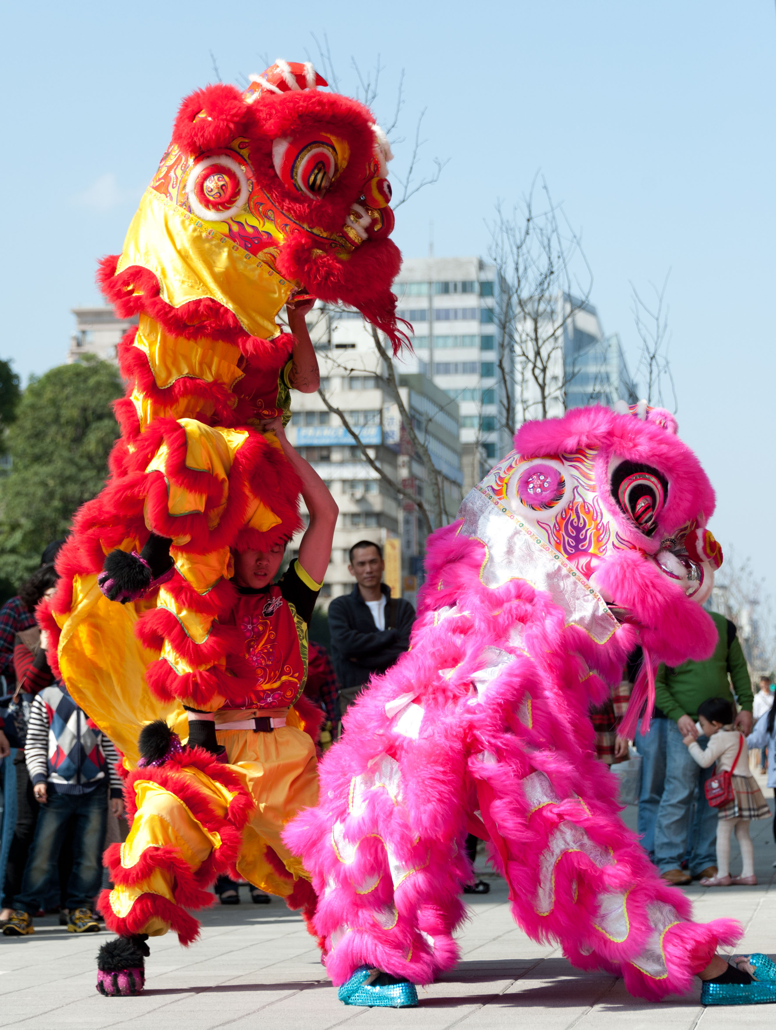 舞狮年年有余,小时候每逢过年都会看到舞狮表演