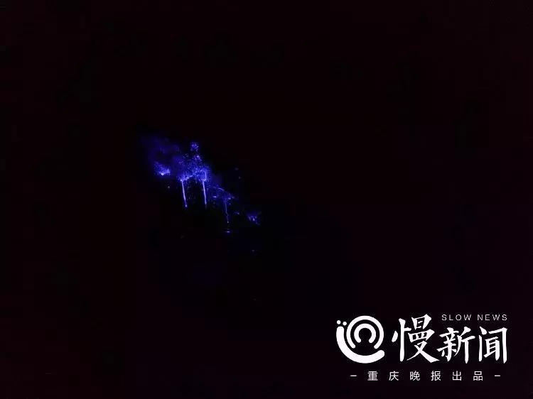 10部好看的法医悬疑电影,2022年度10部好看的法医悬疑电视剧