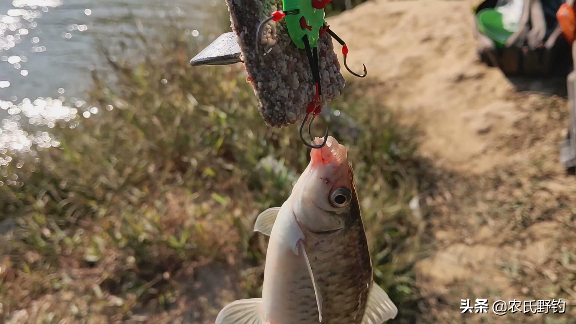 窝料野钓专用花生饼,翻板钩用的花生饼怎样制作