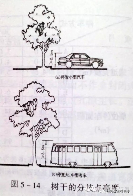 园林景观设计规范和设计标准,园林景观设计图讲解