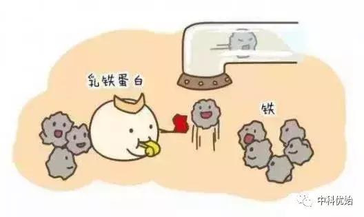 什么品牌的乳铁蛋白价廉物美,乳铁蛋白哪个品牌的好分析表