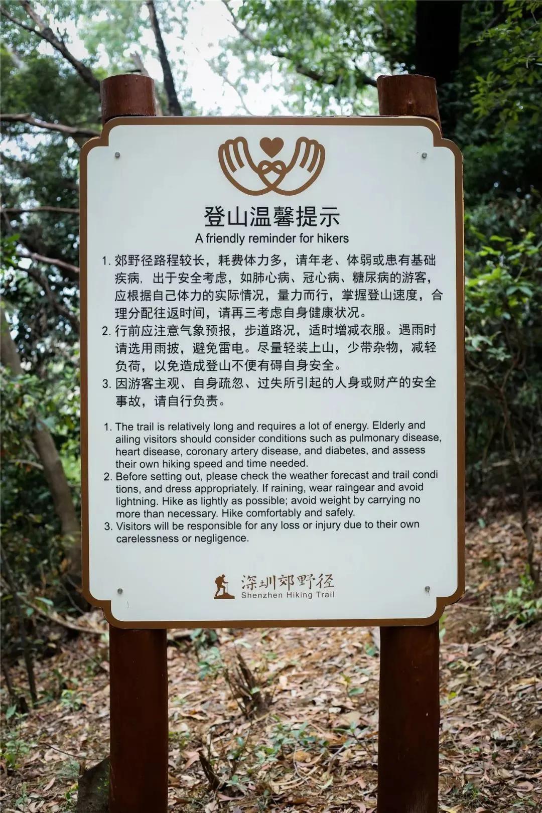 深圳原始登山道视频,深圳首个手工木栈道