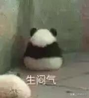 珠宝设计留学去哪个国家,30岁开始学珠宝设计与制作专业