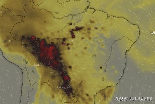 亚马逊雨林救动物,地球之肺亚马逊雨林