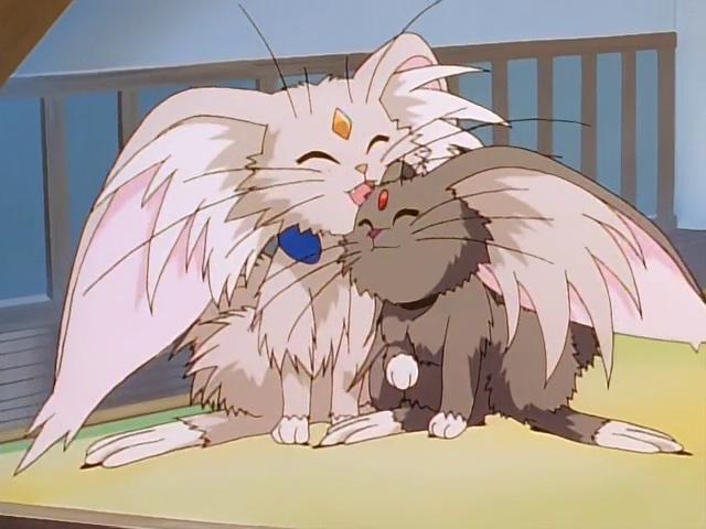 8090后的日本动画片,80年代90年代引进的日本动画片