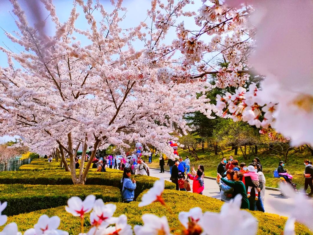 2022春节大连本命年免费景点,大连免费景点排行榜前十名