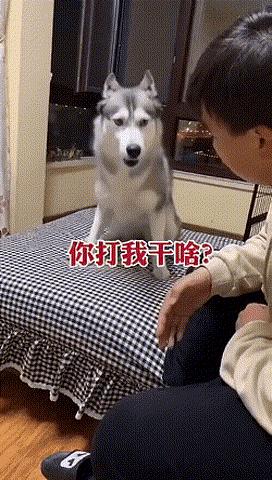 对付不爱喝水的孩子,熊孩子不爱喝水的问题