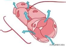 肺癌胸水消失了但气喘严重,肺癌晚期每天抽胸水能活多久