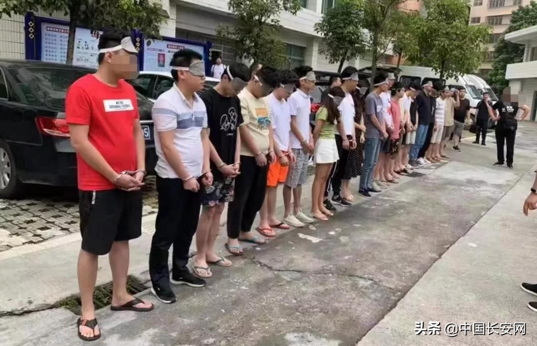 公安破获投资理财电信诈骗案,石家庄破获电信诈骗案