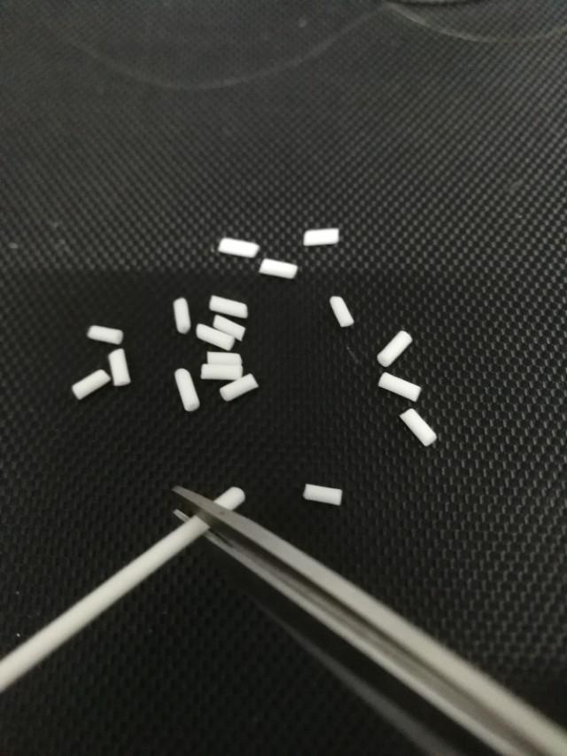 打开新世界之门,世界钓鱼之旅钓大鱼