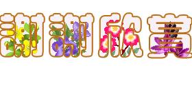 温尼伯全景,温尼伯最后一场比赛