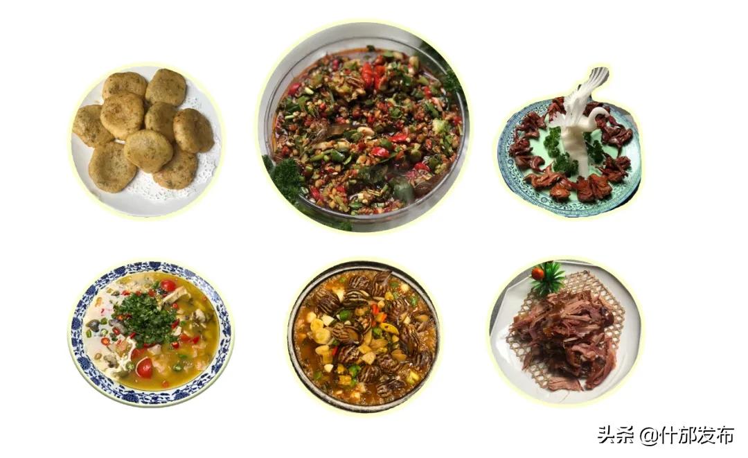 不负好春光文章,不负好春光的上一句