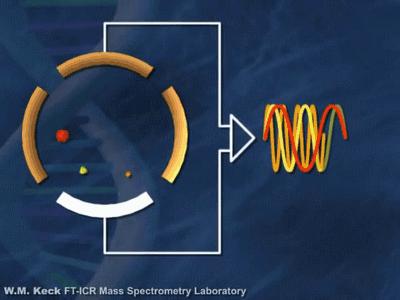 动图解析几何题,动图详解transformer