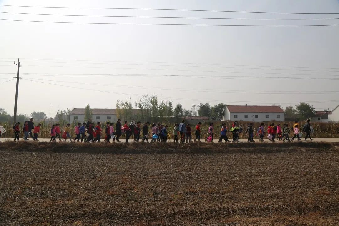 和孩子一起参加学校劳动的发言稿,和孩子们去村里上一堂劳动实践课