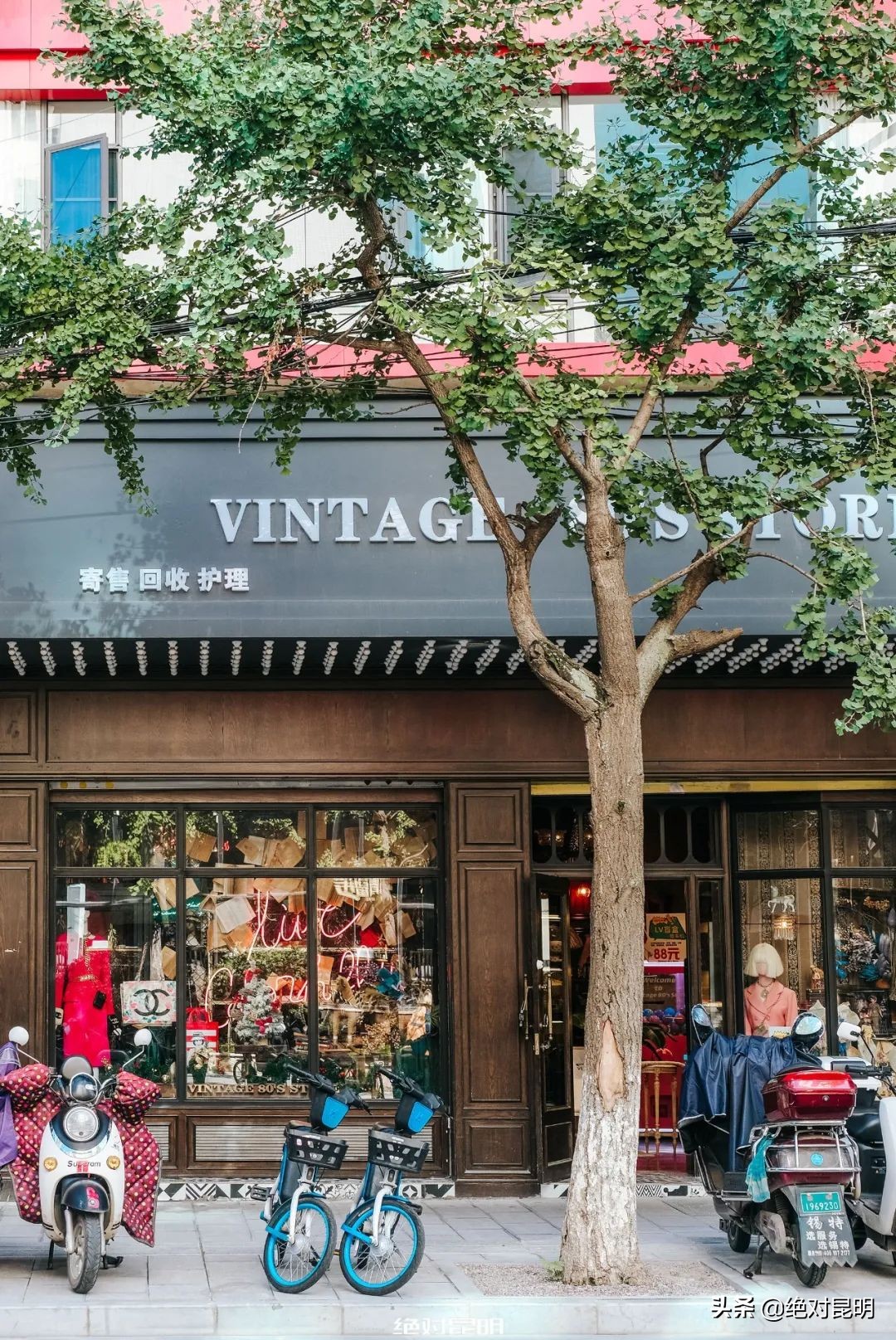 乘时光机回到2019年的科切拉,乘时光机穿梭